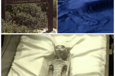 Top Secret Alien Bases DISCOVERED Worldwide | Mountains, Moon & Antarctica Hiding Shocking Truths!