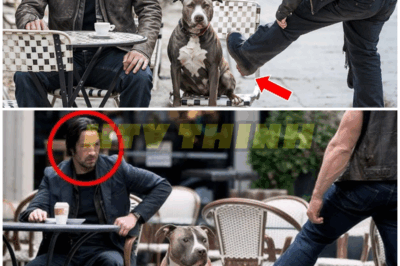 Ruthless Biker Kicked a Dog for Fun, Unaware Keanu Reeves Is the Owner! – HTT