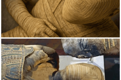 The Mummy No One Dares to Unwrap — Even 100 Years Later, It’s Still TOO DANGEROUS to Touch!