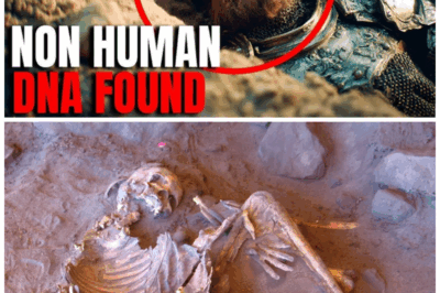 DNA FROM ANOTHER SPECIES? What Scientists Found in This Cave Is Rewriting Human History Forever