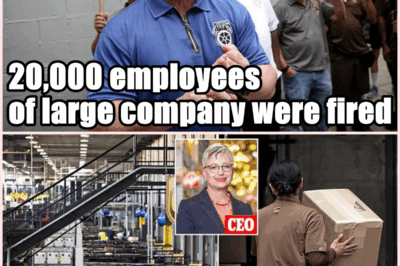 America’s biggest companies are slashing jobs and shelving projects after aggressive buyouts signal growing economic uncertainty