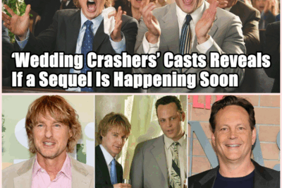 Will the Wedding Crashers Return? Cast Hints at a Potential Sequel!