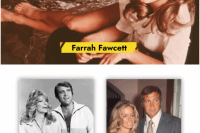 The Untold Story: Lee Majors Opens Up About Farrah Fawcett Marriage Collapse