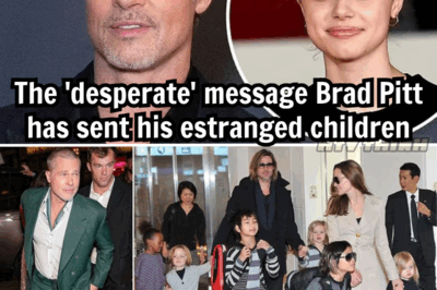 Brad Pitt’s ‘Desperate’ Plea to His Estranged Kids: A Heartbreaking Twist in the Jolie Divorce Saga