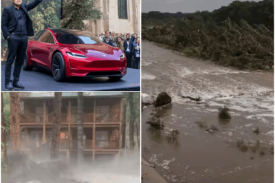 Elon Musk Sends Flying Tesla Car to Help Flood Victims in New Mexico