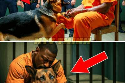 Before The Execution, He Asked To Bring His Dog, and What Happened Was Incredible…
