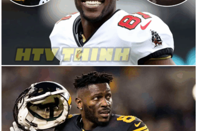 🔥🛏️ “From One-Night Stands to Legal Nightmares: AB’s Bedroom Blitz Goes Public”
