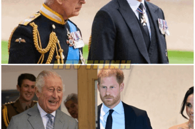Inside the Royal Reunion Plan: A Surprising Sussex Ally Could Be the Bridge Between Prince Harry and the Senior Royals