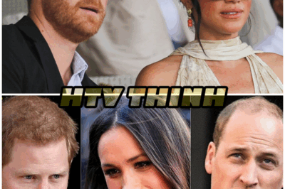 Royal Reunion in Jeopardy? Meghan’s Motives Questioned Again — Is This Exactly What Prince William Warned Harry About?