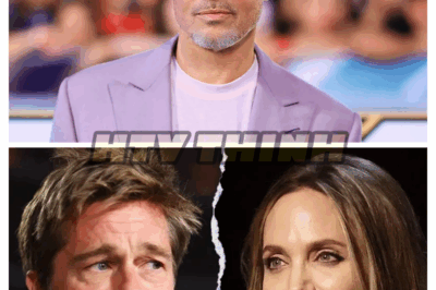 Life After Jolie: Brad Pitt Opens Up About the Emotional Toll of Fame, Divorce, and the Fight to Stay Focused on Art