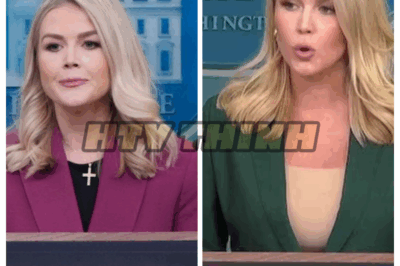 Internet in Shock as Karoline Leavitt Exposes ABC Anchor’s Private Post — Network Suspends Him Amid Backlash