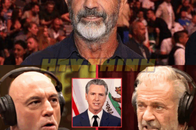 Joe Rogan & Mel Gibson DESTROY Woke Gavin Newsom for RUINING California