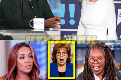 Whoopi & Sunny CLASH With Co Hosts On The View… It Got Heated!
