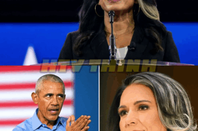 ‘Treasonous conspiracy’: Gabbard reacts to Russia collusion intel findings
