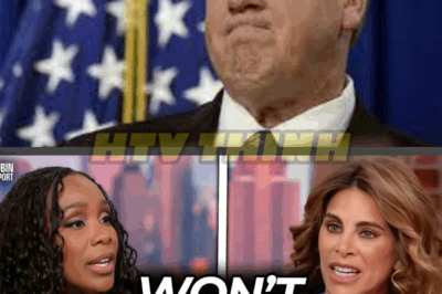 Guest Visibly Offends Hosts with Simple Facts About ICE Raids