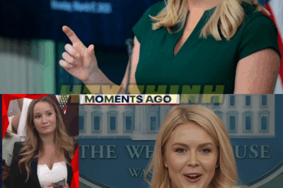 PBS Faces WORST GRILLING By Karoline Leavitt During Heated Defunding Media Debate