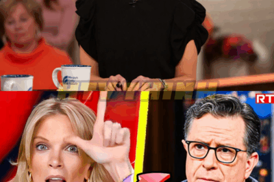 Megyn Kelly Has A BRUTAL Message For Stephen Colbert That He Won’t Like