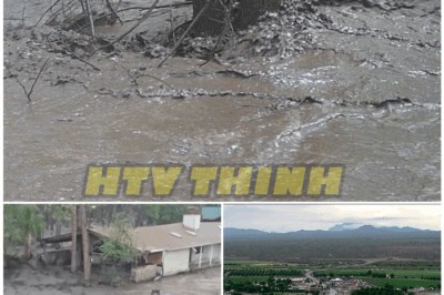 🌪️🌊 New Mexico Swallowed Overnight: Walls of Water Tear Through Towns as Families Cling to Rooftops and Memories
