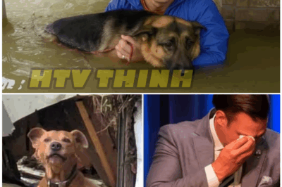 🌊🐶 “Drenched, Shaking, and Forgotten — Until a Double-Amputee Marine Dragged Them From the Flood With Bare Hands”