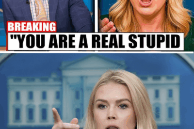 Unforgettable Showdown: Karoline Leavitt’s Epic Comeback Against NFL Legend Leaves Audience in Shock!