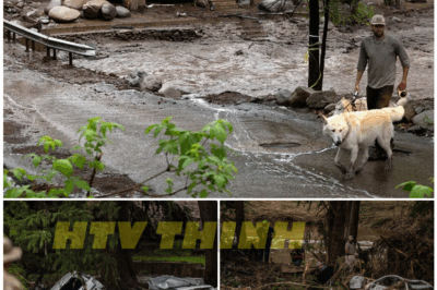 🌊🏚️ Ruidoso Vanishes Beneath a Wall of Water: Flash Floods Turn Dreams Into Debris as Homes Collapse and Roads Disappear