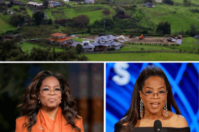Oprah Winfrey’s Estate Accused of Blocking Maui Tsunami Escape Route Amid 8.8 Earthquake Panic — Reps Fire Back with Stunning Denial and Clarify What Really Happened