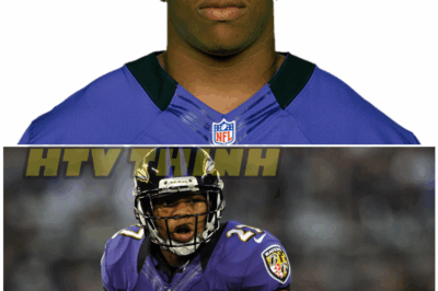 🎥🔥 “Two Games for a Knockout? The NFL’s Ray Rice Disaster That Shattered Its Moral Credibility”