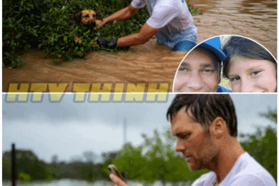 😭🏈 He Didn’t Sign Autographs — Tom Brady Walked Into the Flood, Lifted a Shivering Dog, and Said “I’ll Take Him Home”