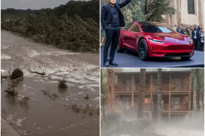 Elon Musk Deploys Flying Tesla Car to Rescue Flood Victims in New Mexico