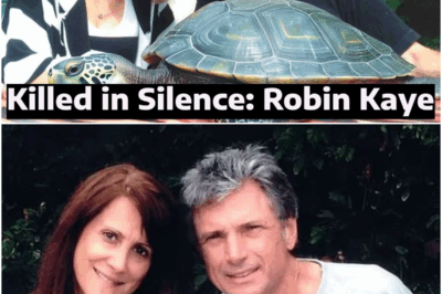 Exclusive Investigation: Who Really Killed Robin Kaye? The Disturbing Truth
