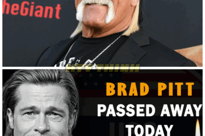 💀🔥 Four American Legends Vanish in a Single Day: The Nation’s Heart Shattered Forever! 🇺🇸💔 In a cataclysmic twist of fate, four titans of American culture have all breathed their last today, sending shockwaves from Hollywood to Wall Street. These icons, each a beacon of their era, left behind legacies tangled in mystery, betrayal, and untold secrets that threaten to rewrite history as we know it. What sinister forces are at play behind these simultaneous losses? The nation mourns, but the truth might just be darker than death itself...👇