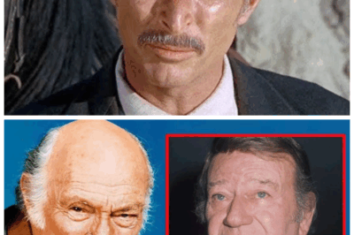Top 6 Actors Lee Van Cleef HATED The Most