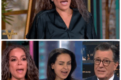 🤡 Sunny Hostin’s Hysterical Outburst Triggers Leftist Meltdown – “She’s Lost All Credibility!” 🚩🔥🙄 — With wild accusations and frantic claims, Sunny Hostin has become the laughingstock of the political world, sparking a wave of mockery from conservatives and liberals alike. Her desperate attempts to spin a narrative have backfired spectacularly, exposing her as a figure teetering on the edge of a breakdown. Is this the end of her influence or just a temporary slip? The drama continues! 👇