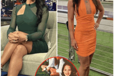 💅 – Fox News’s hottest anchors, Emily Compagno’s admirable life: Her adventure from a lawyer and NFL cheerleader to one of the most popular anchor right now