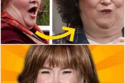 The Mysterious Disappearance of Susan Boyle: What Really Happened?