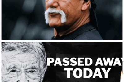 ⚰️🔥3 American Stars Who Died TODAY: SHOCKING Losses That Shattered the Nation!🇺🇸💔 In a day marked by grief and disbelief, three beloved icons have tragically passed away, leaving fans devastated and the world in mourning. Behind their glamorous lives lay hidden struggles, betrayals, and emotional battles that no one ever saw coming. This explosive exposé reveals the shocking truths and mysterious circumstances surrounding their final moments—prepare for a rollercoaster of emotions and jaw-dropping revelations!👇