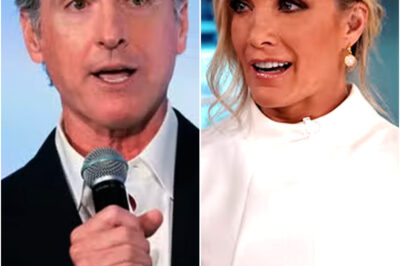 Fox News Host Dana Perino Loses It Over Gavin Newsom’s Social Media