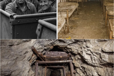 Miners Vanished in 1962 — 50 Years Later a Sealed Room Was Found Inside the Abandoned Mine…