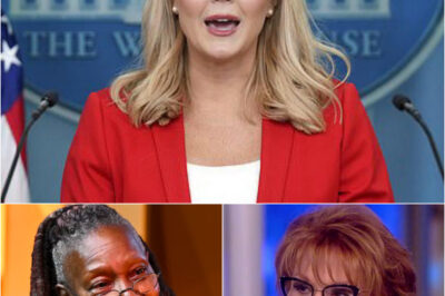 Karoline Leavitt DESTROYED The View with a single sentence — no shouting, no theatrics. She stared straight into the hosts’ eyes, dropped her line, and froze the room. 11 seconds of silence followed. Not even Whoopi or Joy dared to respond. Viewers called it “the most brutal mic-drop in TV history.” And the words she spoke after taking off her mic? Even more shocking. Details in comment 👇👇