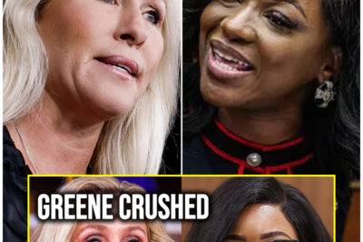 MTG Attacks Jasmine Crockett’s Education… INSTANTLY Regrets It