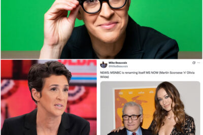 MSNBC’s Controversial Rebrand to MS NOW Sparks Mockery, Confusion, and Outrage