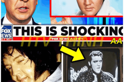 The Elvis Presley Mystery Finally Solved In 2025, And It’s Not Good