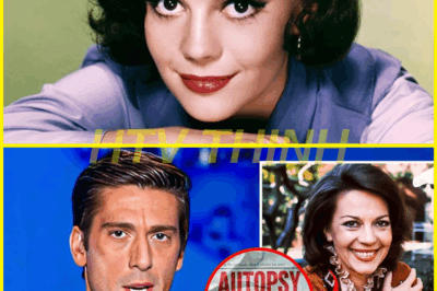 What Happened to Natalie Wood? The Mystery Is Finally Solved?