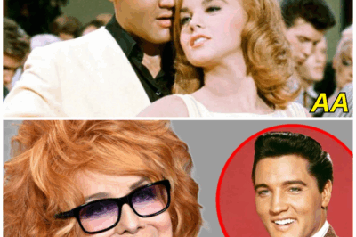 At 84, Ann-Margret FINALLY Reveals Why She Never Married Elvis