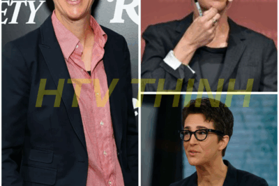 Game-Changer Alert: Rachel Maddow to Launch Independent News Network That Could Redefine Journalism