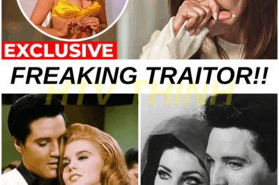 FINALLY: After so many years since Elvis passed away, Priscilla Presley directly sent Ann-Margret 2 shocking words…. “FREAKING TRAITOR”