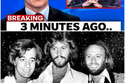 The Untold Turmoil of Robin Gibb: From Fame to Heartbreak – You Won’t Believe What Happened Behind Closed Doors!