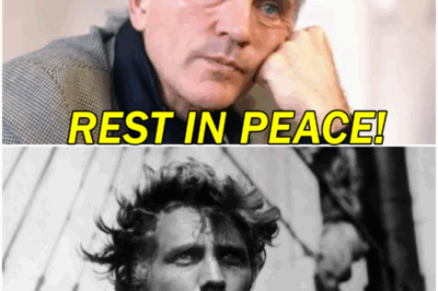 The Last Bow of General Zod: Terrence Stamp’s Final Curtain Call Reveals a Shocking Exit That Leaves Hollywood in Eternal Silence