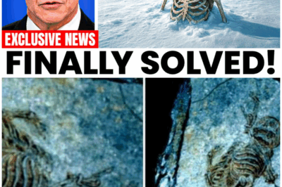 Scientists Finally Solved the Antarctica Human Remains Mystery… And What They Found Buried in the Ice Will Terrify You