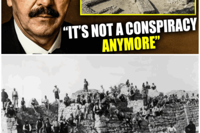 The Man Who ‘Discovered’ Troy Just Admitted the Truth… And It Destroys Everything You Thought You Knew